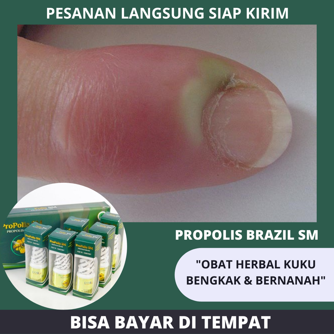 Kesehatan di Ujung Jari: Toko Obat Abadi Siap Menemani Anda